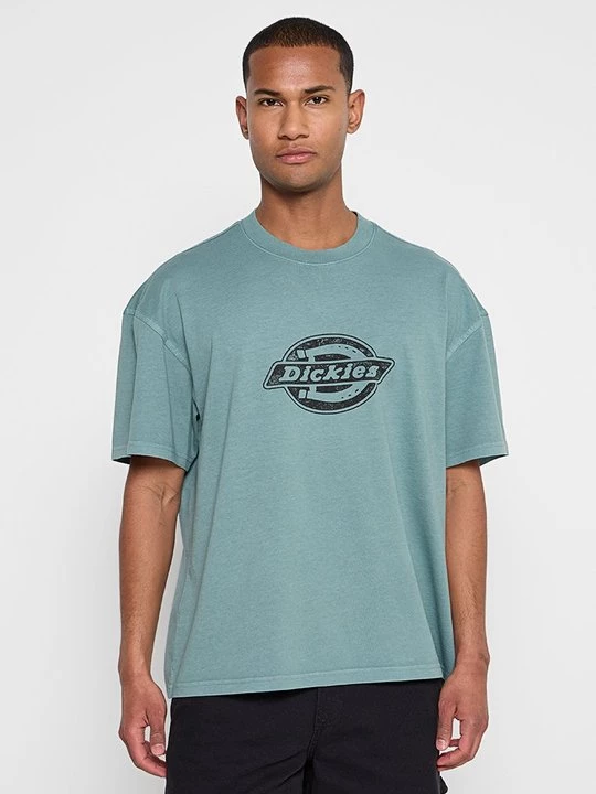 Foto van product T-shirt print Dickies blauw