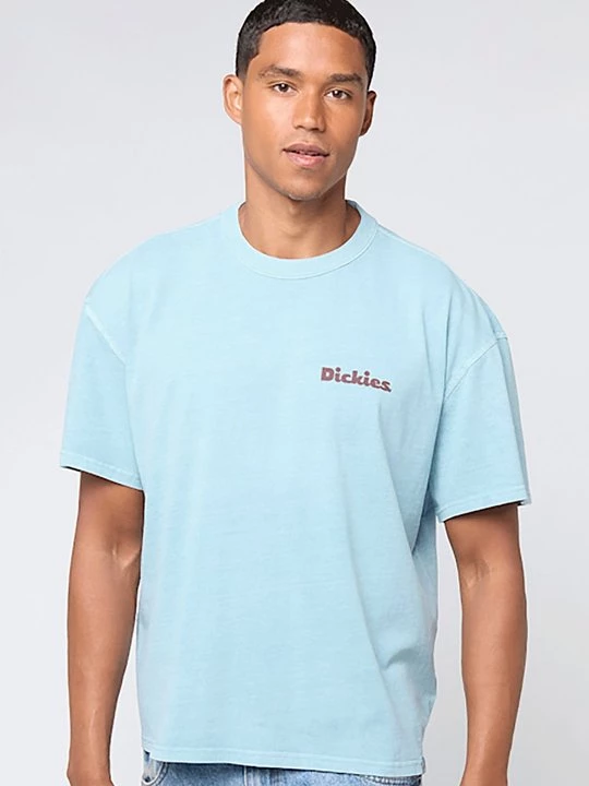Foto van product T-shirt print Dickies blauw