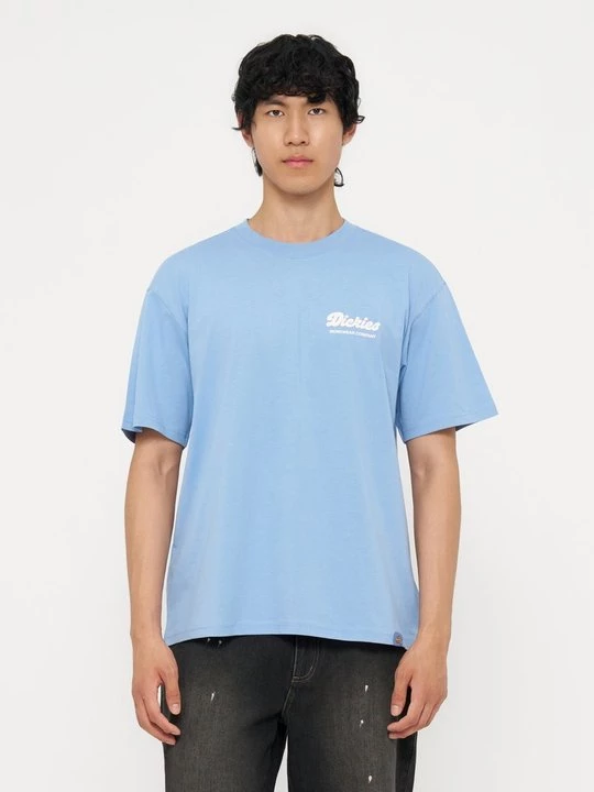 Foto van product T-shirt print Dickies blauw