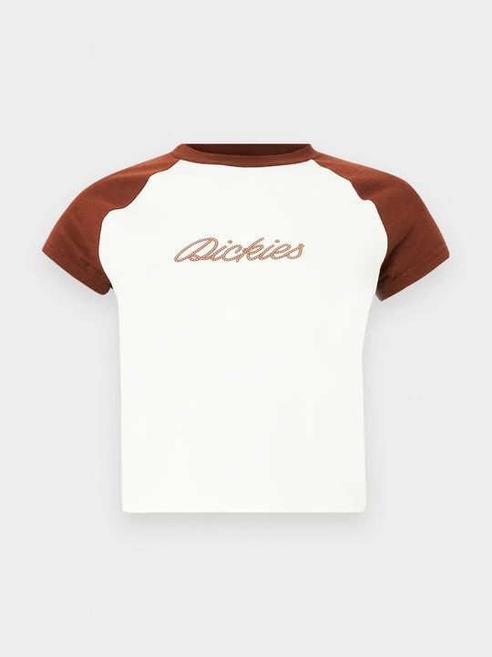 Foto van product T-shirt print Dickies bruin