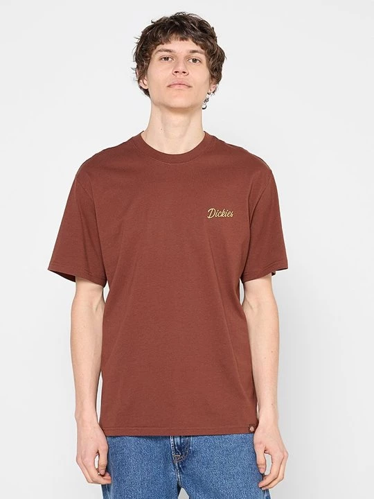 Foto van product T-shirt print Dickies bruin
