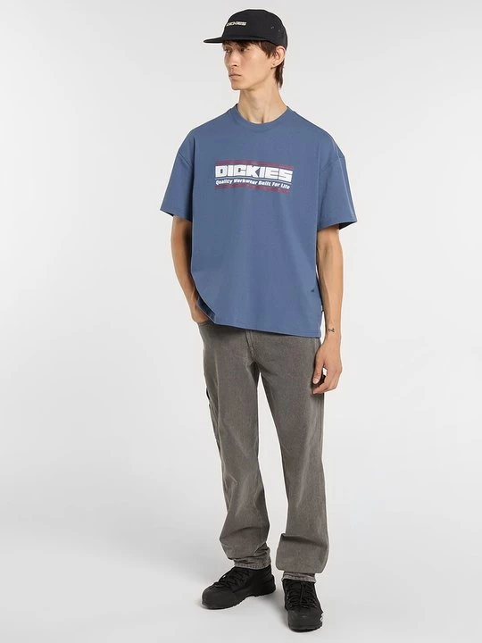 Foto van product T-shirt print Dickies donkerblauw