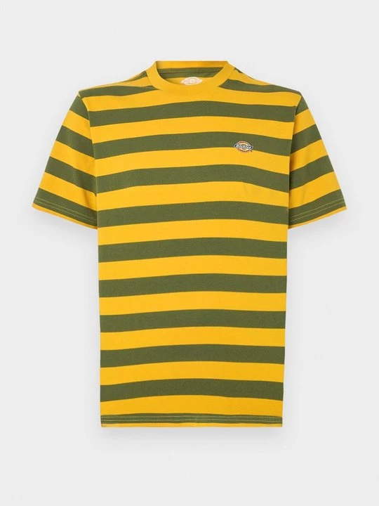 Foto van product T-shirt print Dickies donkergroen