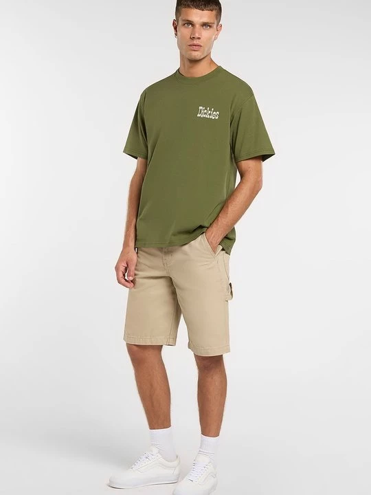 Foto van product T-shirt print Dickies donkergroen