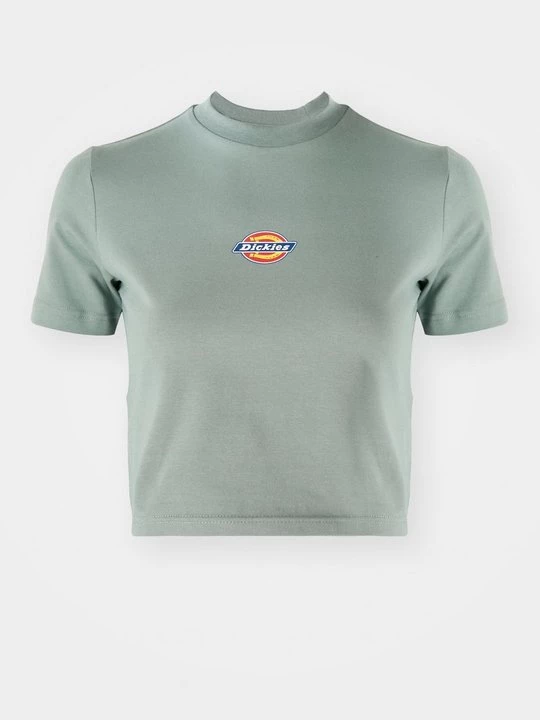 Foto van product T-shirt print Dickies donkergroen