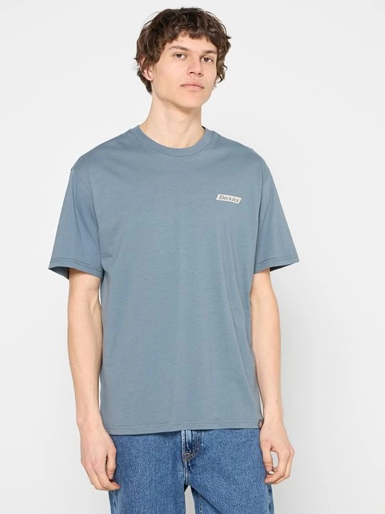 Foto van product T-shirt print Dickies grijs