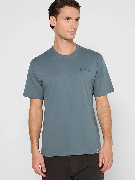 Foto van product T-shirt print Dickies grijs