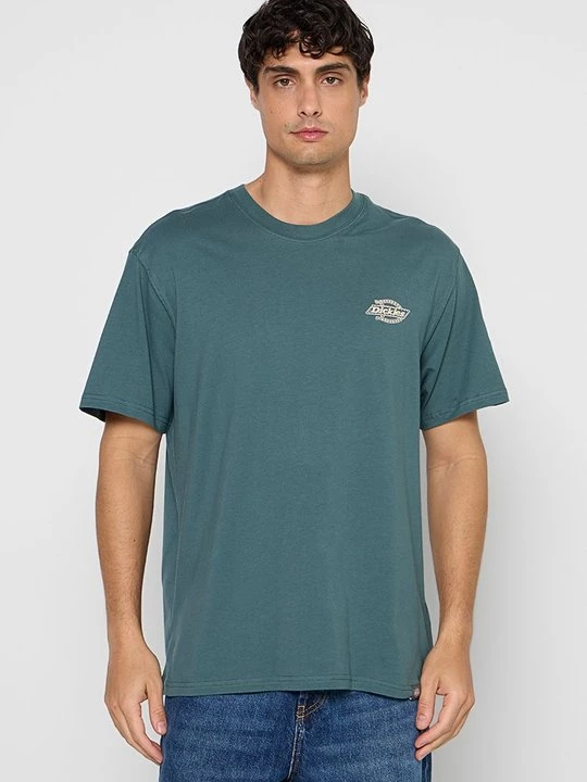 Foto van product T-shirt print Dickies groen