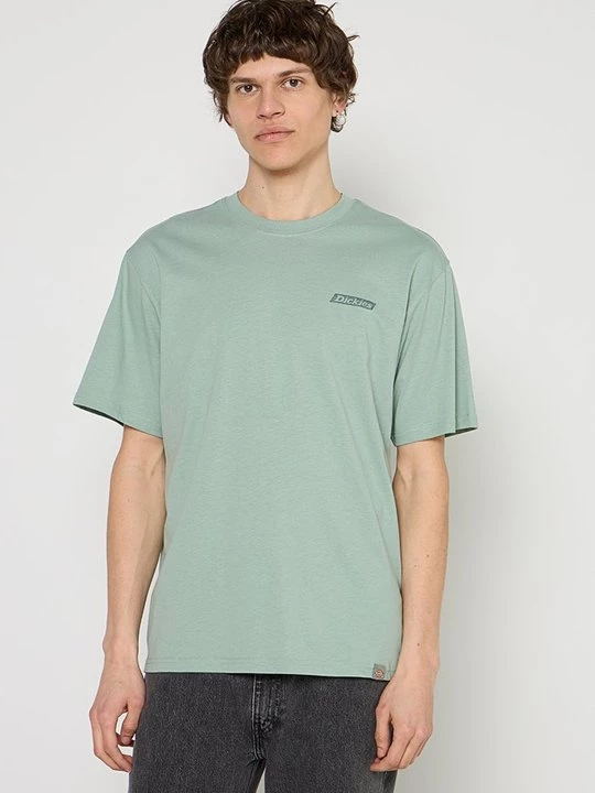 Foto van product T-shirt print Dickies groen