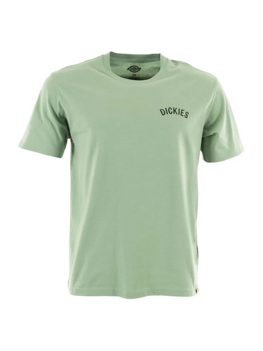 Foto van product T-shirt print Dickies groen