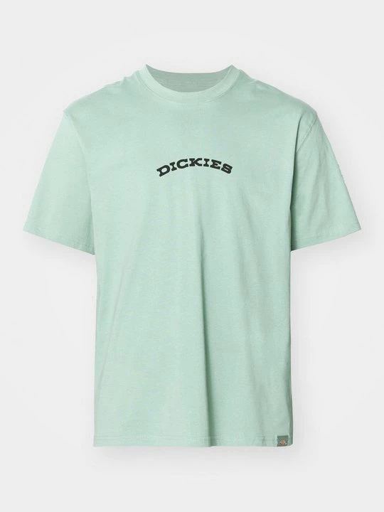 Foto van product T-shirt print Dickies groen