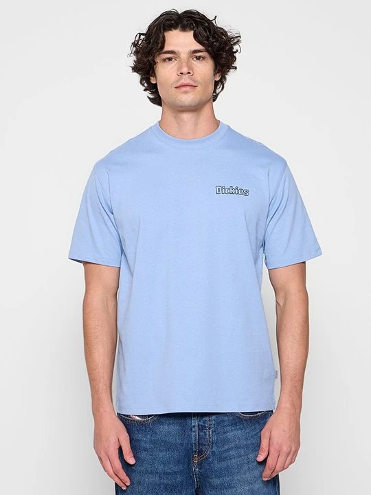 Foto van product T-shirt print Dickies lichtblauw