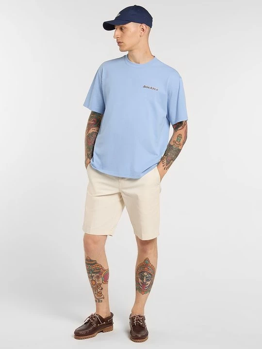 Foto van product T-shirt print Dickies lichtblauw