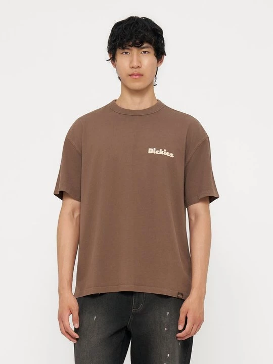 Foto van product T-shirt print Dickies lichtbruin