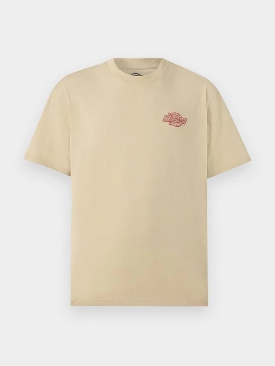 Foto van product T-shirt print Dickies lichtgroen