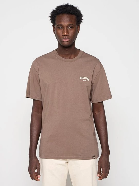 Foto van product T-shirt print Dickies taupe