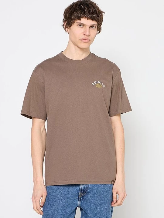 Foto van product T-shirt print Dickies taupe
