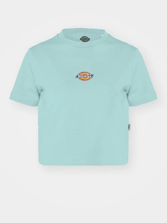 Foto van product T-shirt print Dickies turquoise