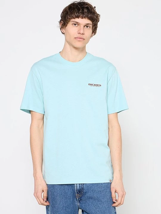 Foto van product T-shirt print Dickies turquoise
