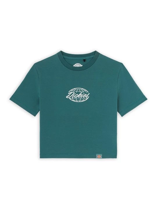 Foto van product T-shirt print Dickies wintergroen