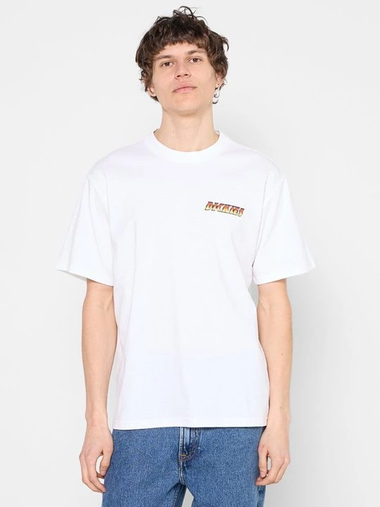 Foto van product T-shirt print Dickies wit