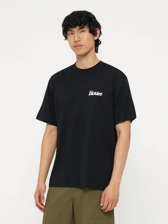 Foto van product T-shirt print Dickies zwart