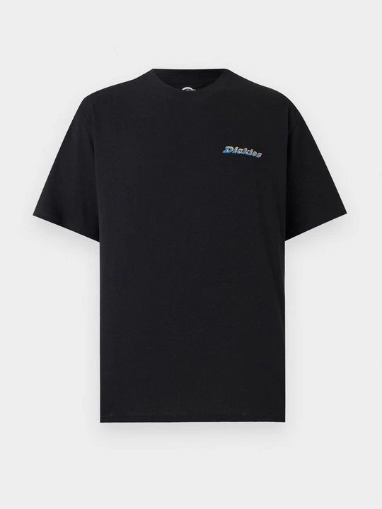 Foto van product T-shirt print Dickies zwart