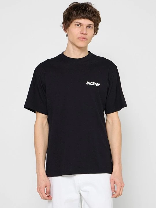 Foto van product T-shirt print Dickies zwart