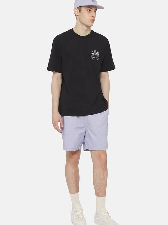 Foto van product T-shirt print Dickies zwart