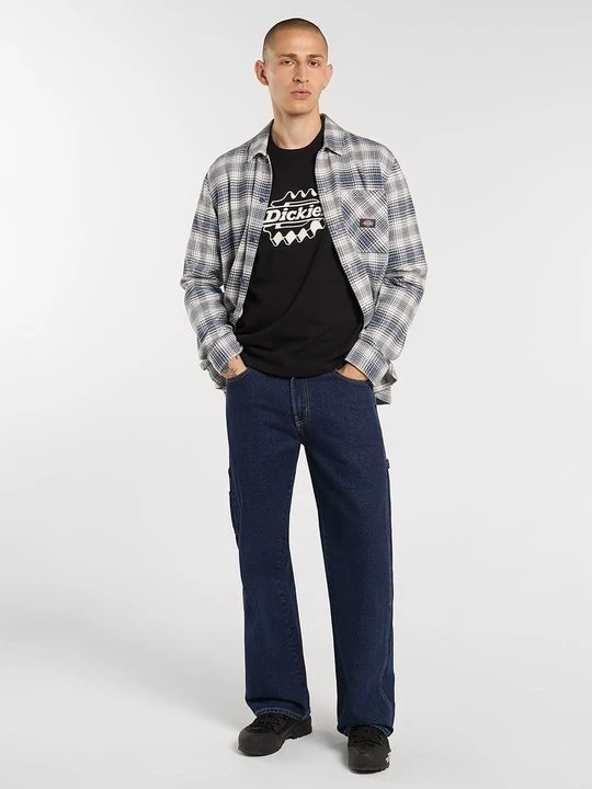 Foto van product T-shirt print Dickies zwart