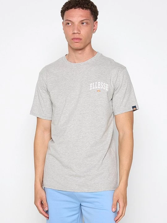 Foto van product T-shirt print Ellesse grijs