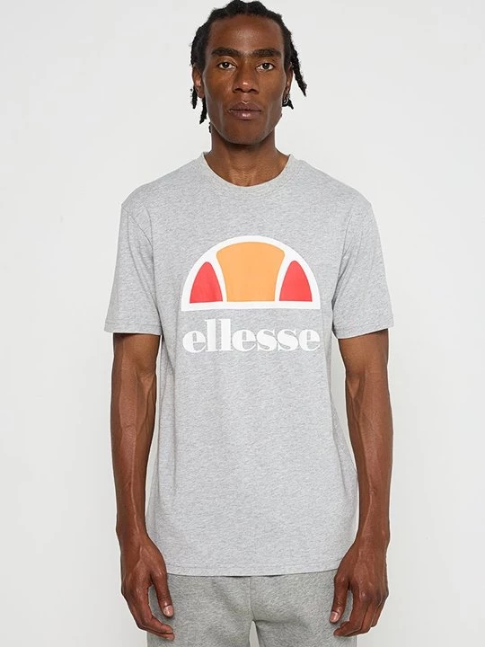 Foto van product T-shirt print Ellesse grijs