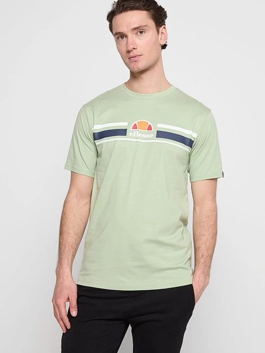 Foto van product T-shirt print Ellesse groen