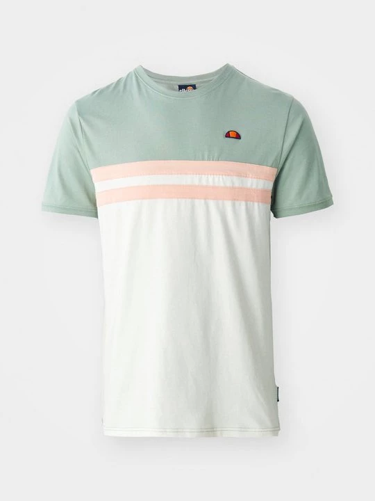 Foto van product T-shirt print Ellesse groen