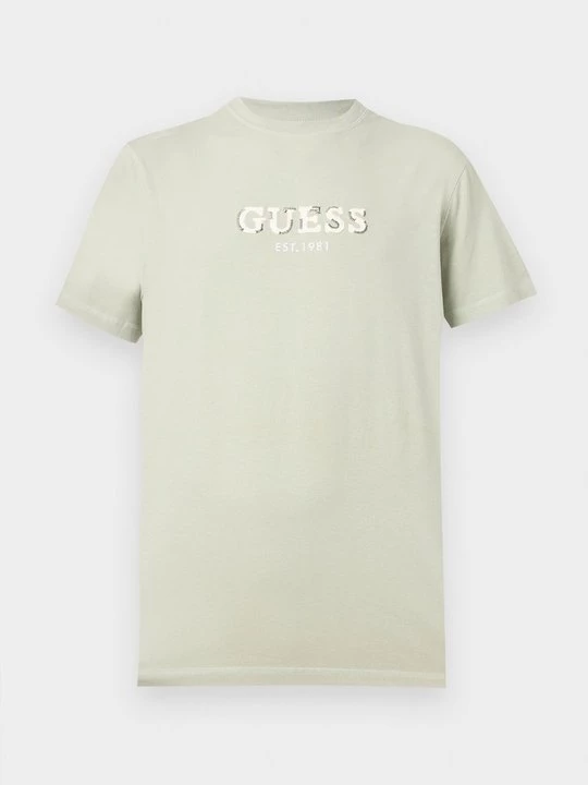 Foto van product T-shirt print Guess lichtgroen