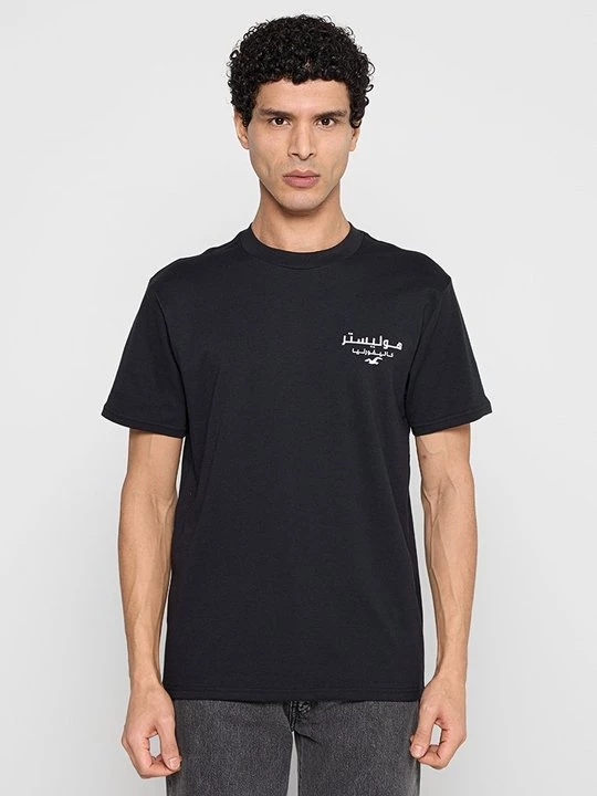 Foto van product T-shirt print Hollister Co. zwart