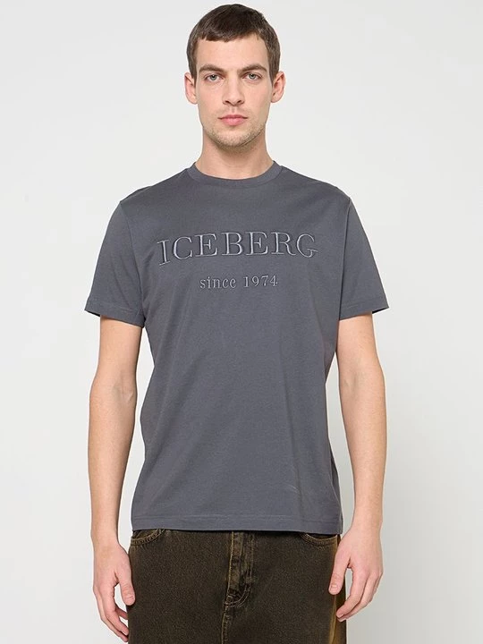 Foto van product T-shirt print Iceberg grijs