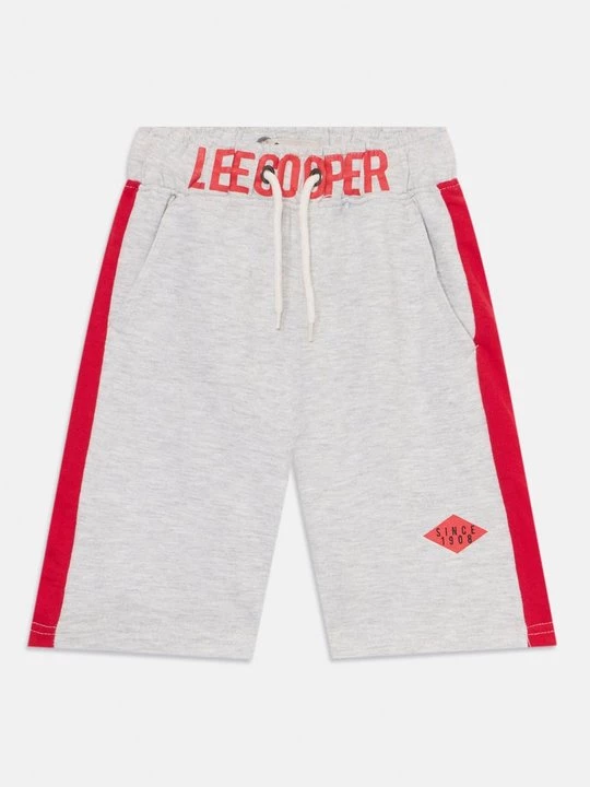 Foto van product T-shirt print Lee Cooper grijs