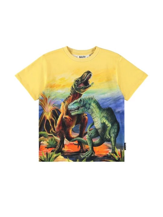 Foto van product T-shirt print Molo