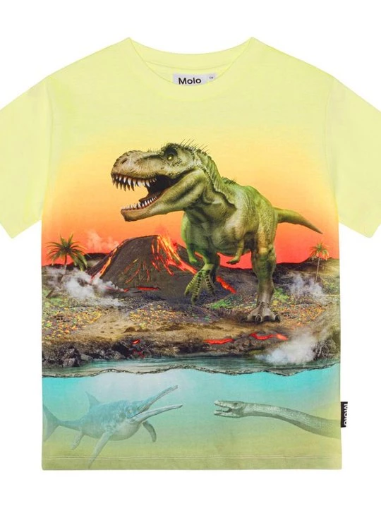 Foto van product T-shirt print Molo geel