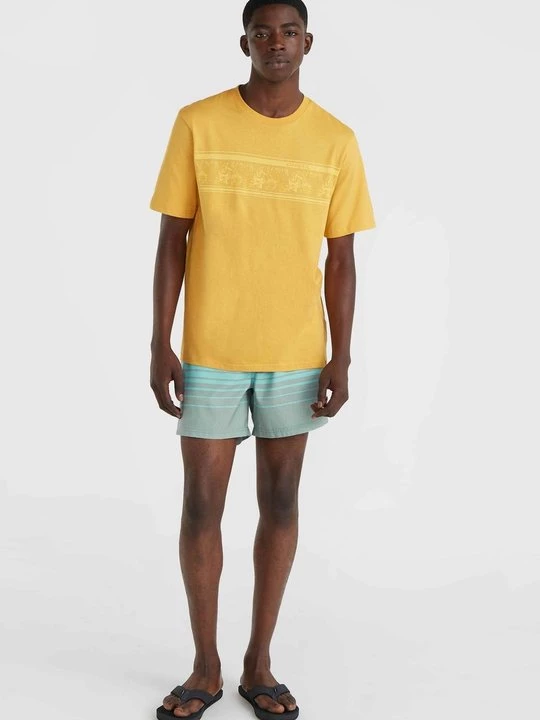 Foto van product T-shirt print O'Neill geel