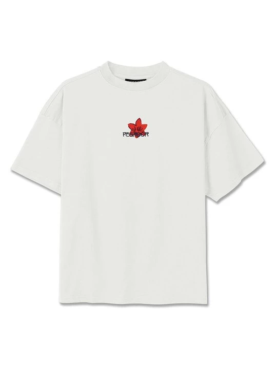 Foto van product T-shirt print Pegador crème