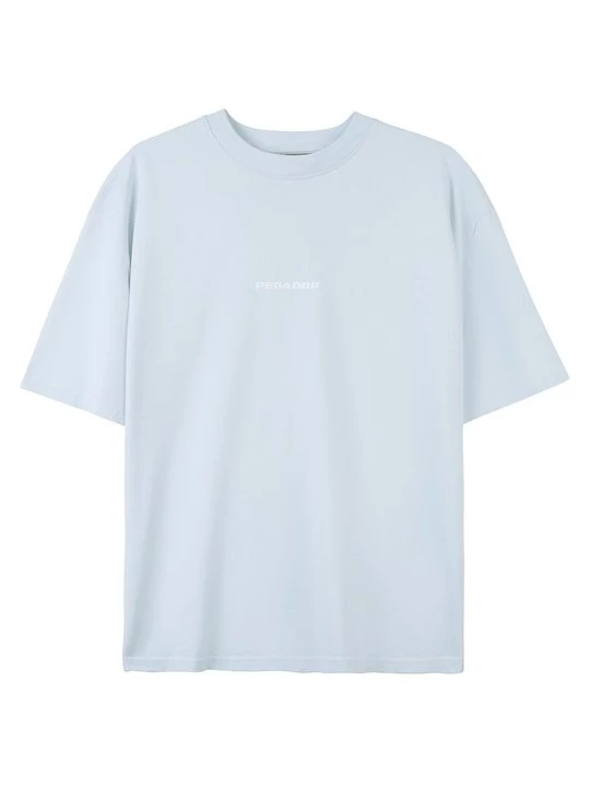 Foto van product T-shirt print Pegador lichtblauw