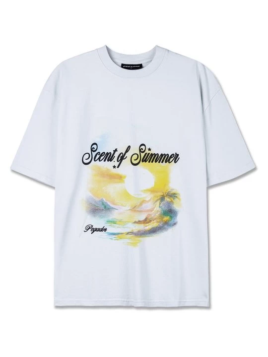 Foto van product T-shirt print Pegador wit