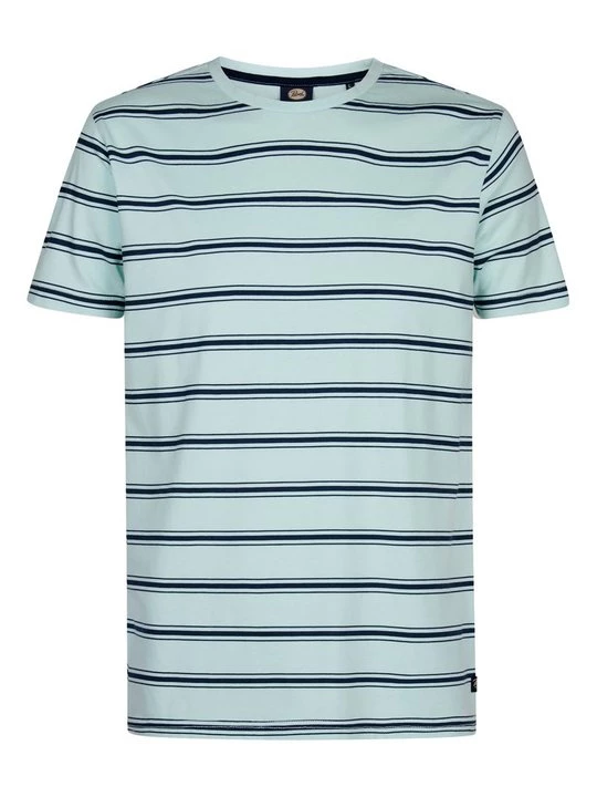 Foto van product T-shirt print Petrol Industries mintgroen