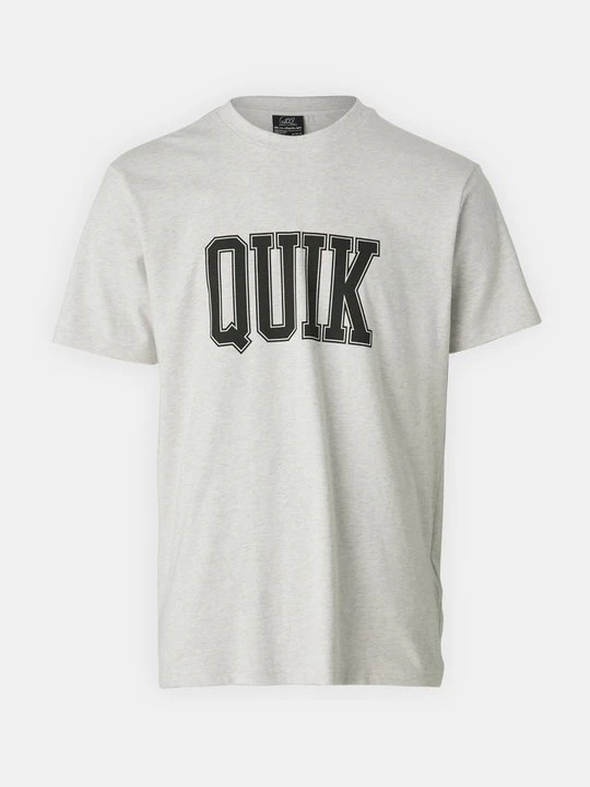 Foto van product T-shirt print Quiksilver grijs