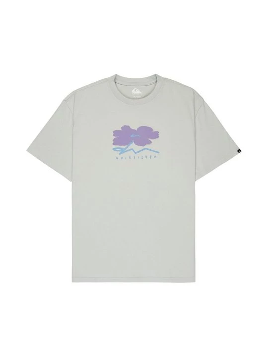 Foto van product T-shirt print Quiksilver grijs