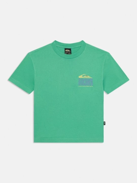 Foto van product T-shirt print Quiksilver groen