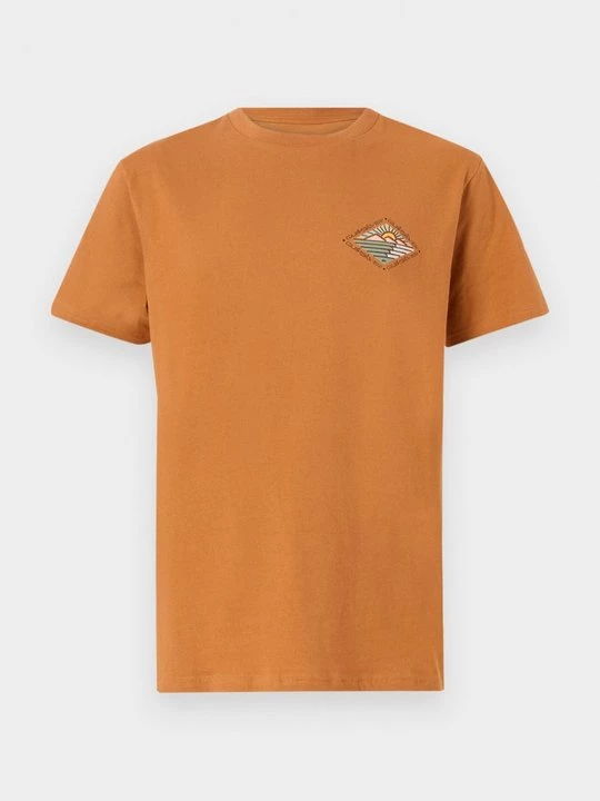 Foto van product T-shirt print Quiksilver oranje