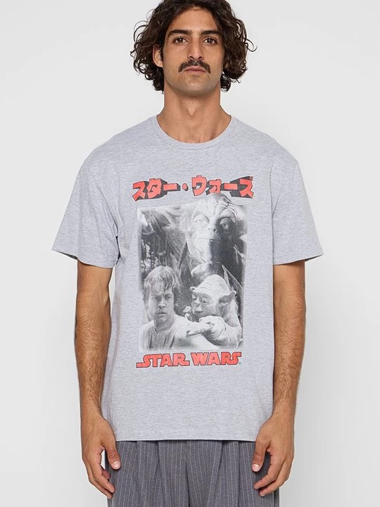 Foto van product T-shirt print Star Wars grijs